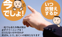 春の衣替えポスターバージョン2